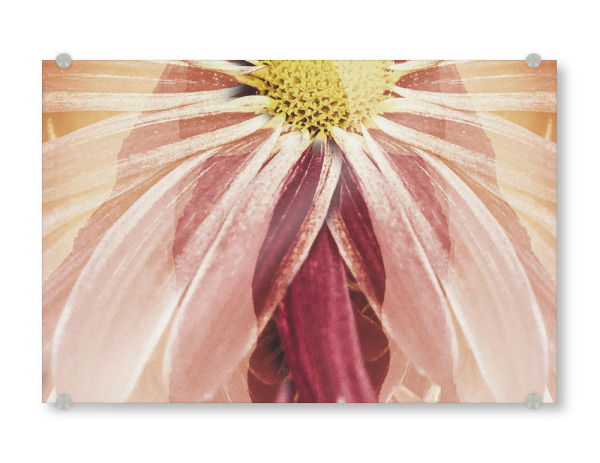 Acrylglasbild "Bloming garden II by Tas" artboxONE - Natur,Floral,Abstrakt