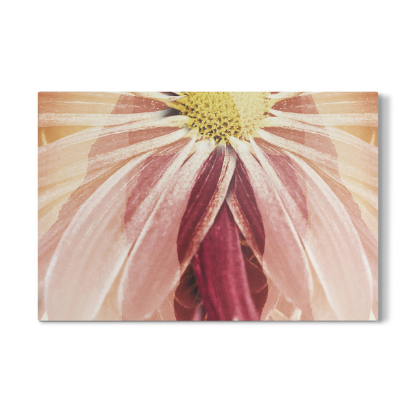 Galerie-Print "Bloming garden II by Tas" 30x20 cm artboxONE