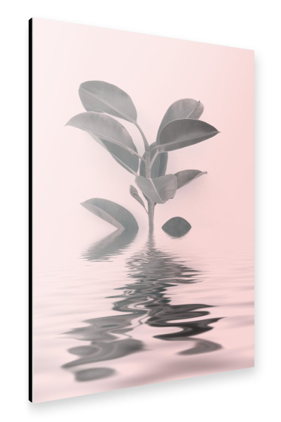 Alu-Dibond "Leaf And Water Zen Harmony" 30x20 cm artboxONE