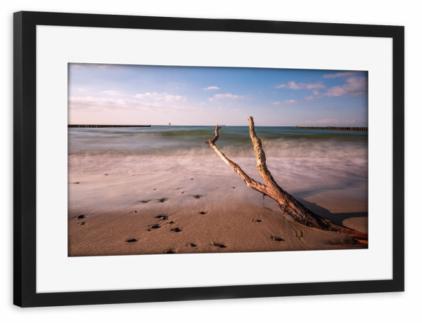 Poster mit Rahmen schwarz "Baumstamm und Buhnen" artboxONE - Natur,Reise,Reise / Strand und Meer