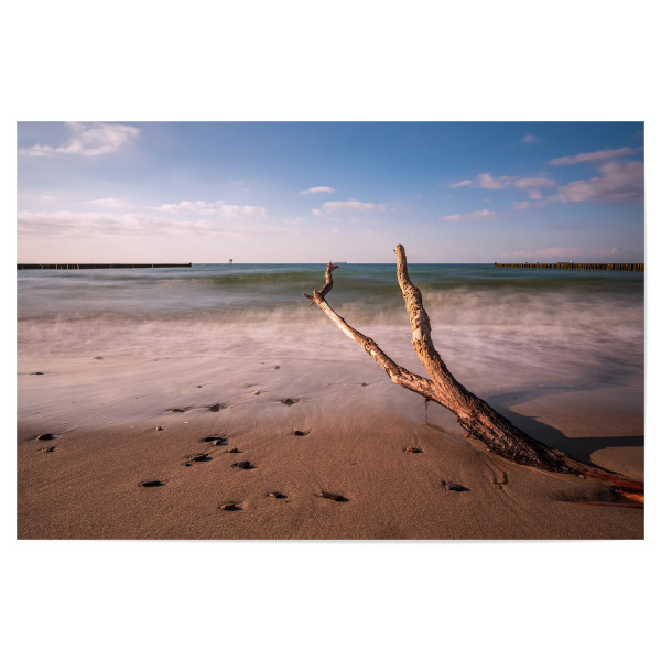 Poster 30x20 cm "Baumstamm und Buhnen" artboxONE - Natur,Reise,Reise / Strand und Meer