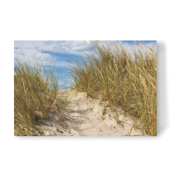 Leinwandbild "Weg in den Dünen" artboxONE - Natur,Reise,Reise / Strand und Meer,Reise / Länder