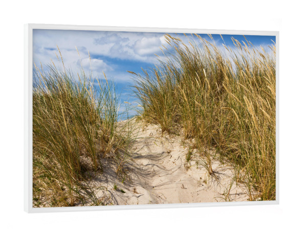 Poster mit weißem Rahmen "Weg in den Dünen" artboxONE - Natur,Reise,Reise / Strand und Meer,Reise / Länder