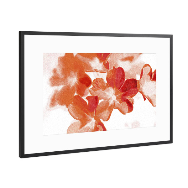 Poster mit Rahmen Schwarz (Metallic) "Abstrakte Blumen Orange Rot Weiß" artboxONE - Natur,Floral,Für Mama