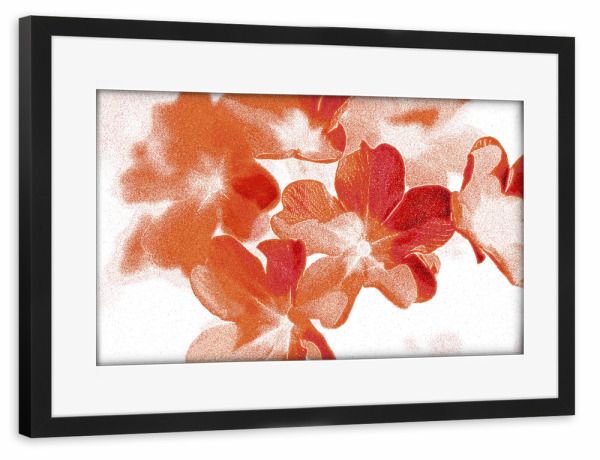 Poster mit Rahmen schwarz "Abstrakte Blumen Orange Rot Weiß" artboxONE - Natur,Floral,Für Mama