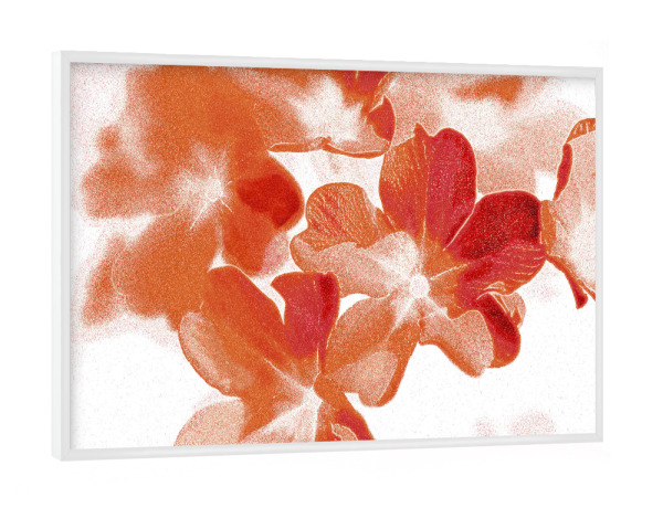 Poster mit weißem Rahmen "Abstrakte Blumen Orange Rot Weiß" artboxONE - Natur,Floral,Für Mama