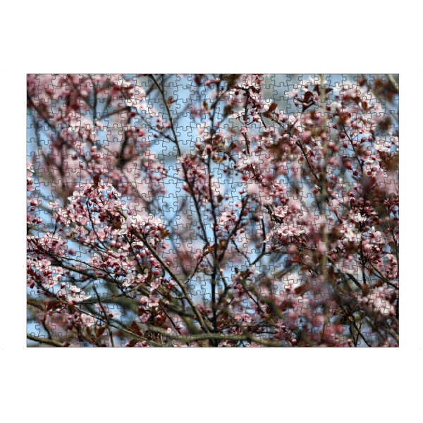 Puzzle Ravensburger "Blutpflaume mit rosa Blütenpracht" artboxONE - Natur,Floral