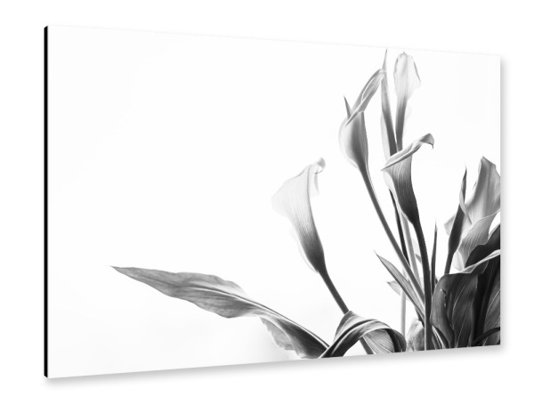 Alu-Dibond "A Pot Full Of Flowers" 30x20 cm artboxONE