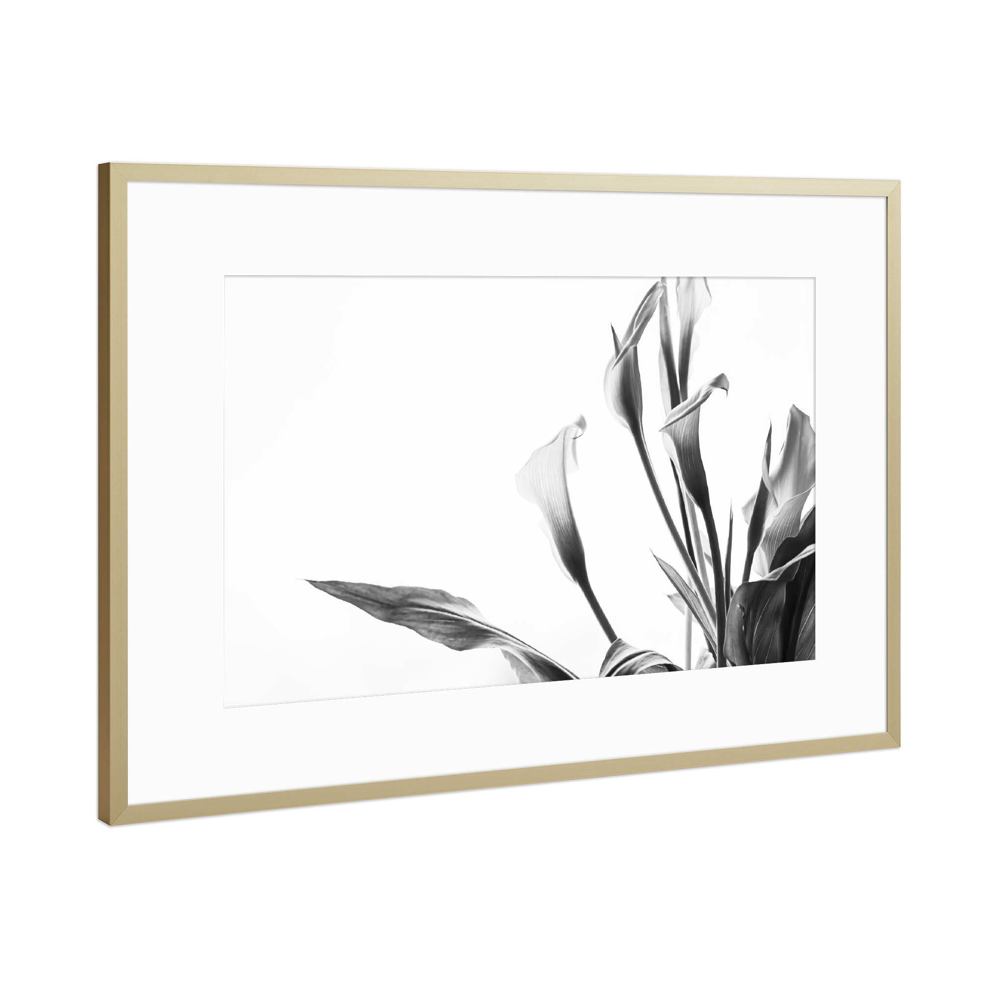 Poster mit Rahmen Gold "A Pot Full Of Flowers" artboxONE - Natur,Floral,Schwarzweiß