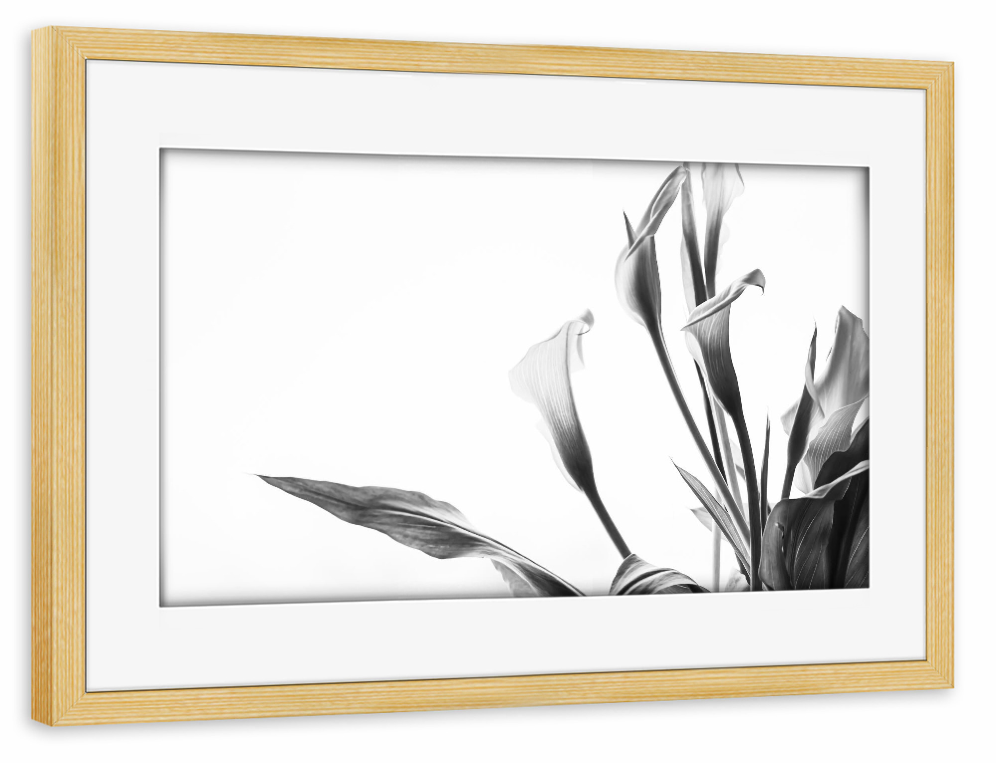 Poster mit Rahmen kiefer "A Pot Full Of Flowers" artboxONE - Natur,Floral,Schwarzweiß