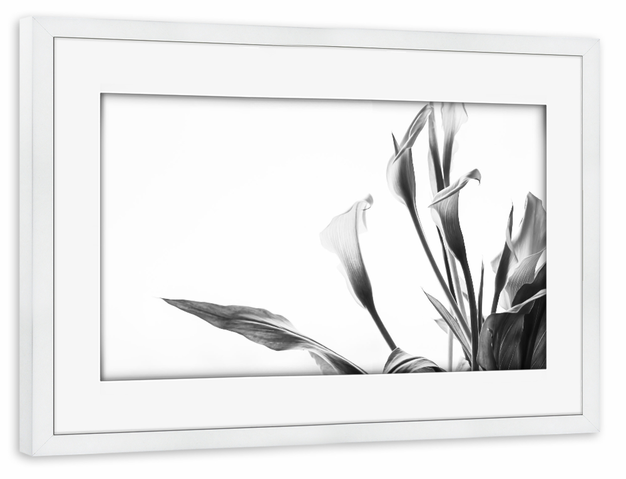 Poster mit Rahmen weiß "A Pot Full Of Flowers" artboxONE - Natur,Floral,Schwarzweiß