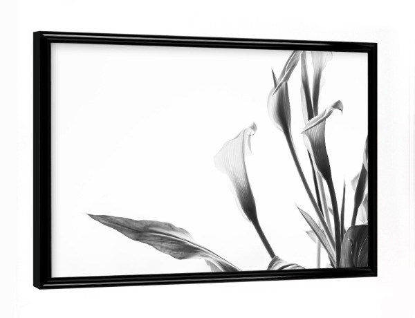 Poster mit schwarzem Rahmen "A Pot Full Of Flowers" artboxONE - Natur,Floral,Schwarzweiß