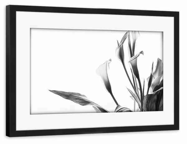 Poster mit Rahmen schwarz "A Pot Full Of Flowers" artboxONE - Natur,Floral,Schwarzweiß