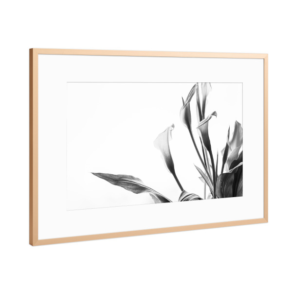 Poster mit Rahmen Kupfer "A Pot Full Of Flowers" artboxONE - Natur,Floral,Schwarzweiß