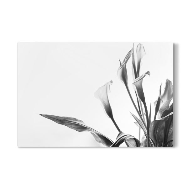 Galerie-Print "A Pot Full Of Flowers" 30x20 cm artboxONE