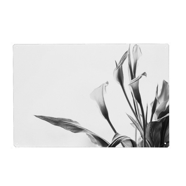 Holzbild "A Pot Full Of Flowers" artboxONE - Natur,Floral,Schwarzweiß