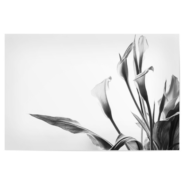 Poster "A Pot Full Of Flowers" artboxONE - Natur,Floral,Schwarzweiß