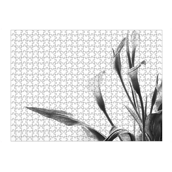 artboxONE Puzzle "A Pot Full Of Flowers" artboxONE - Natur,Floral,Schwarzweiß