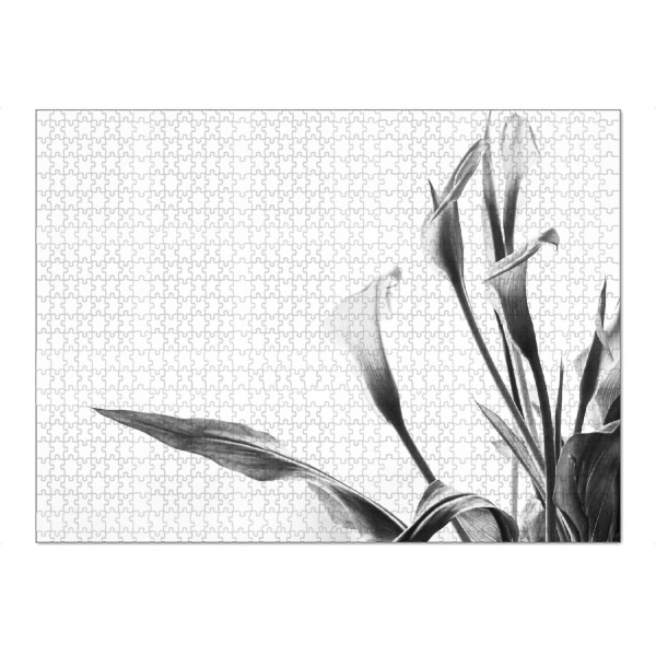 Puzzle Ravensburger "A Pot Full Of Flowers" artboxONE - Natur,Floral,Schwarzweiß