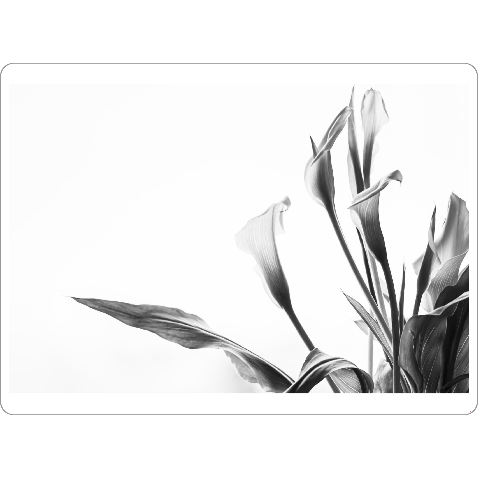 Tischset "A Pot Full Of Flowers" artboxONE - Natur,Floral,Schwarzweiß
