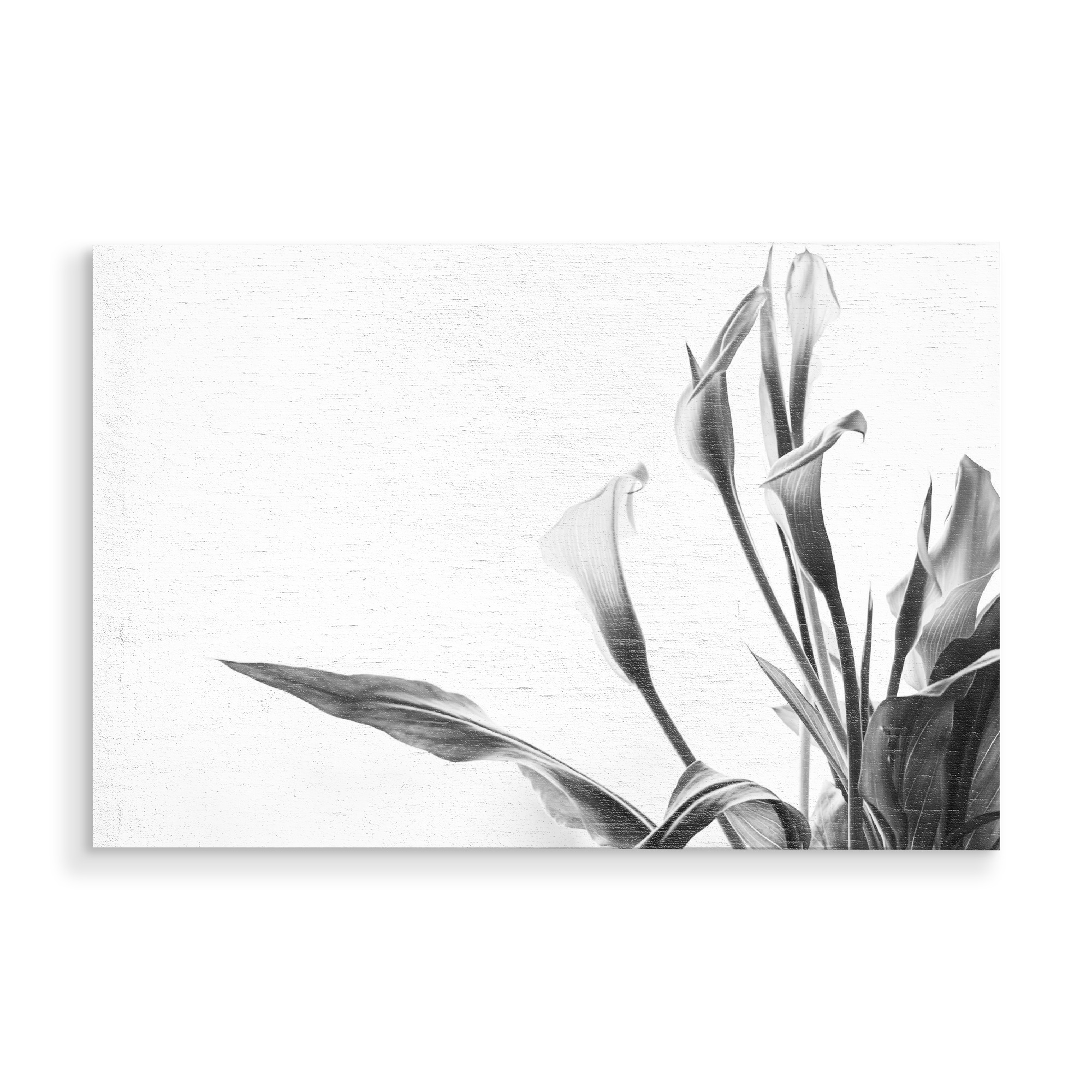 Holzbild "A Pot Full Of Flowers" artboxONE - Natur,Floral,Schwarzweiß