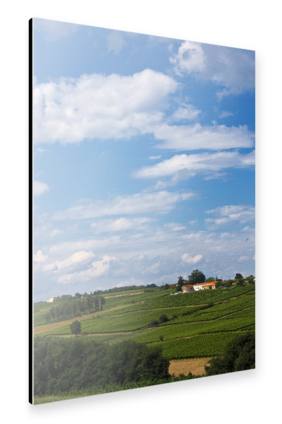 Alu-Dibond "Landschaft Südfrankreich" 30x20 cm artboxONE
