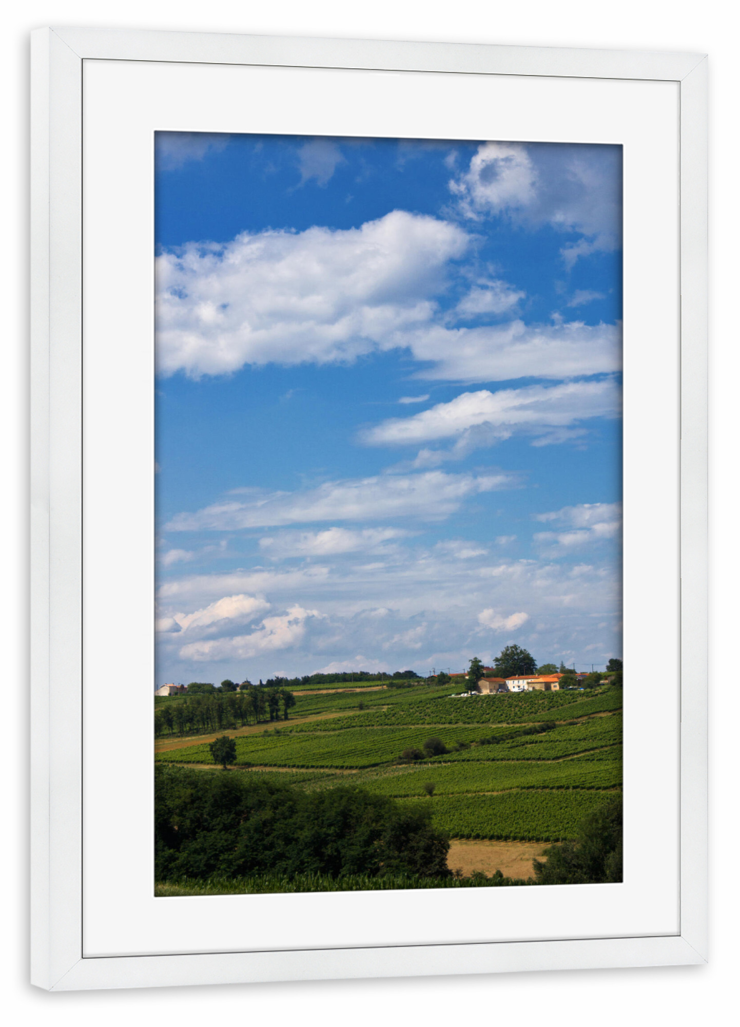 Poster mit Rahmen weiß "Landschaft Südfrankreich" artboxONE - Natur,Reise,Reise / Länder