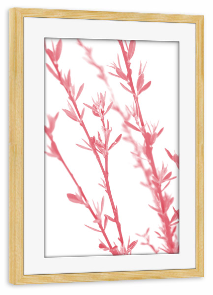 Poster mit Rahmen kiefer "Pink dainty branch" artboxONE - Natur,Floral