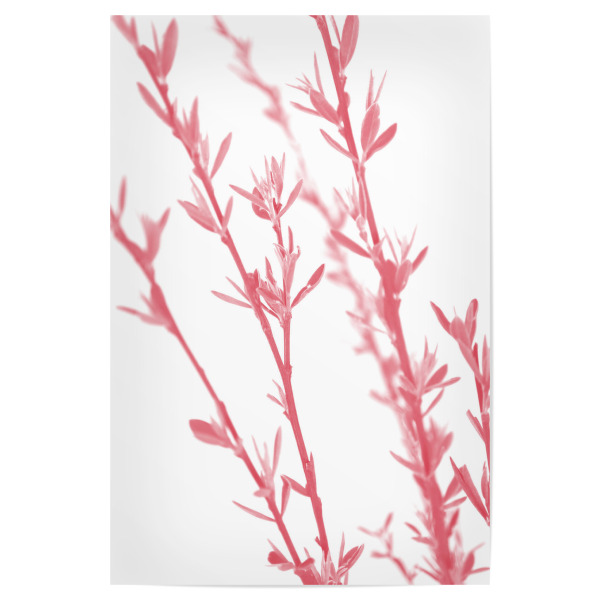 Poster 30x20 cm "Pink dainty branch" artboxONE - Natur,Floral