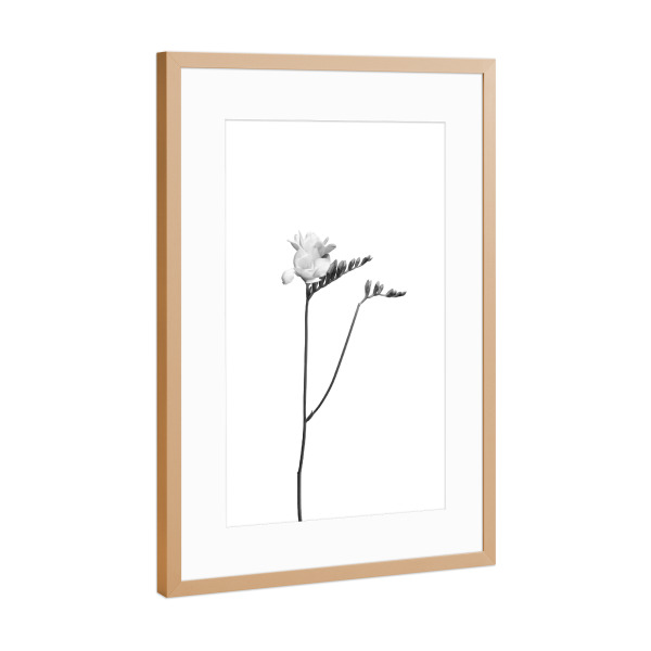 Poster mit Rahmen Kupfer "Freesie | helles Design" artboxONE - Floral