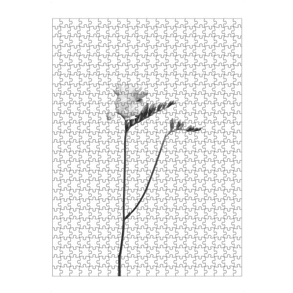 artboxONE Puzzle "Freesie | helles Design" artboxONE - Floral