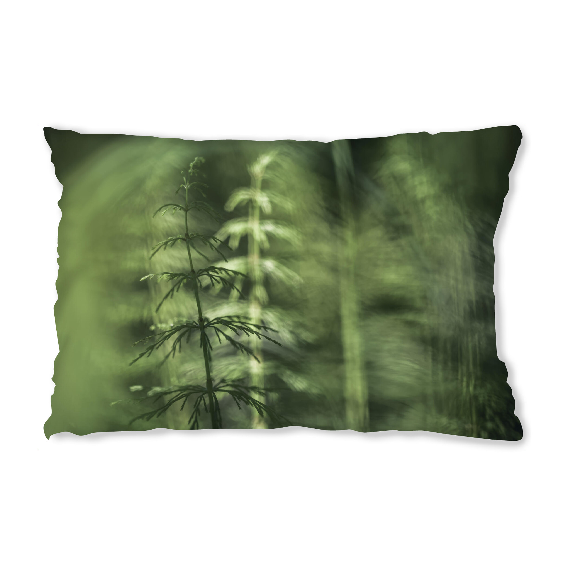 Design-Kissen "Schachtelhalme" artboxONE - Natur,Floral