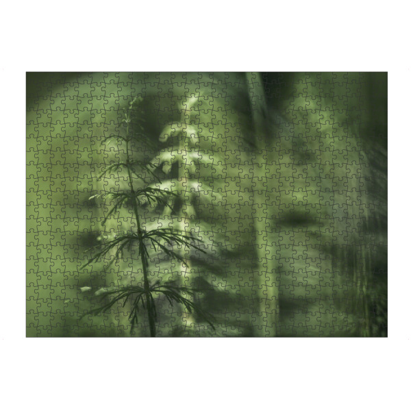 Puzzle Ravensburger "Schachtelhalme" artboxONE - Natur,Floral