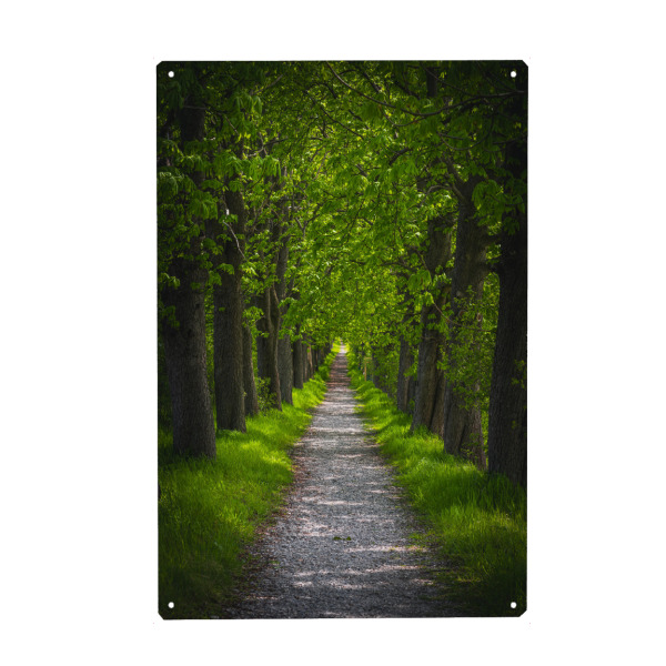Holzbild "Kastanienallee" artboxONE - Natur