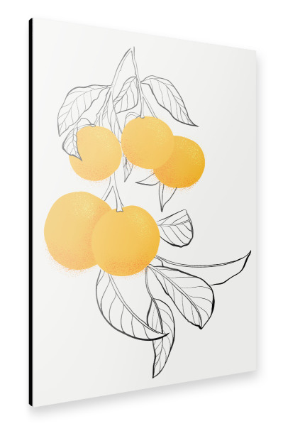 Alu-Dibond "Mabel oranges" 30x20 cm artboxONE