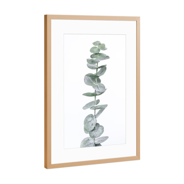 Poster mit Rahmen Kupfer "Modern Eucalyptus" artboxONE - Natur,Floral