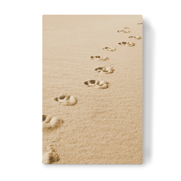 Leinwandbild "Pfotenspuren im Sand" artboxONE - Tiere,Reise / Strand und Meer