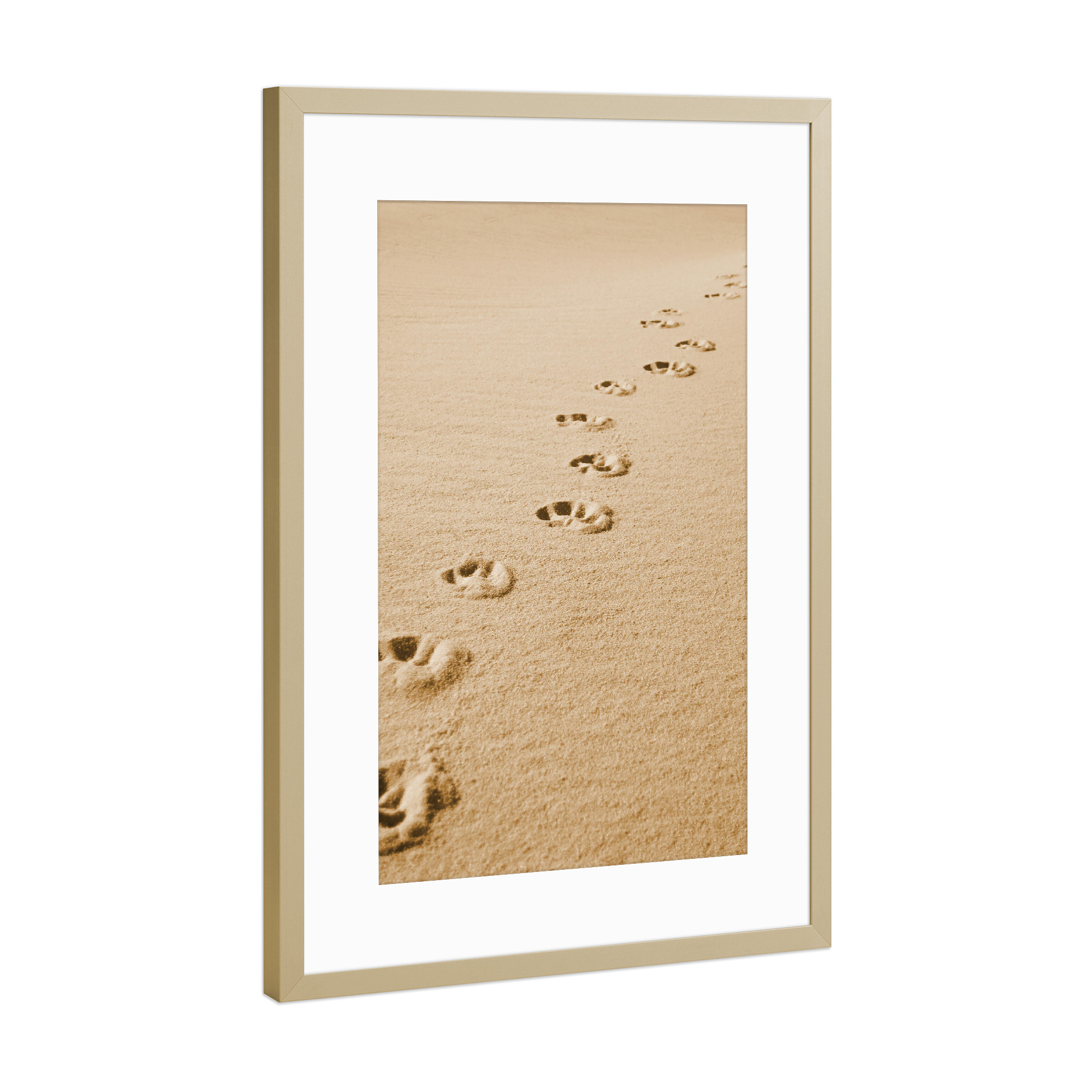Poster mit Rahmen Gold "Pfotenspuren im Sand" artboxONE - Tiere,Reise / Strand und Meer