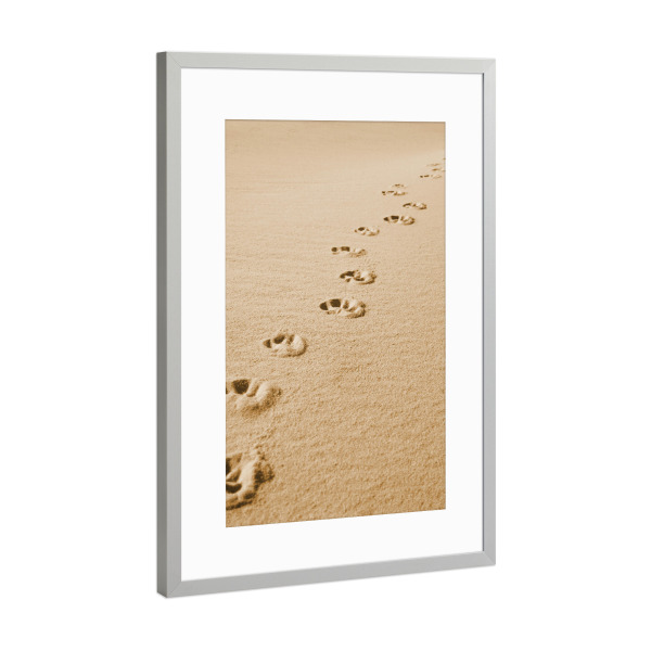 Poster mit Rahmen Silber "Pfotenspuren im Sand" artboxONE - Tiere,Reise / Strand und Meer