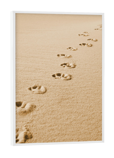 Poster mit weißem Rahmen "Pfotenspuren im Sand" artboxONE - Tiere,Reise / Strand und Meer