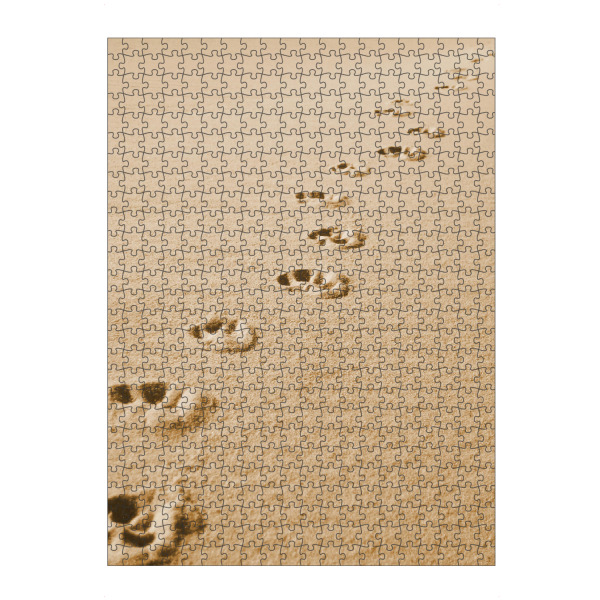 Puzzle Ravensburger "Pfotenspuren im Sand" artboxONE - Tiere,Reise / Strand und Meer