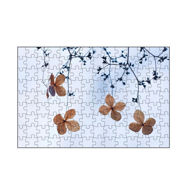 artboxONE Puzzle "Vergänglich" artboxONE - Natur,Floral - Kletterhortensie,Herbst,Autumn,Plants,Pflanzen,Minimal,Leaves,Blätter,Floral,Natur,Nature