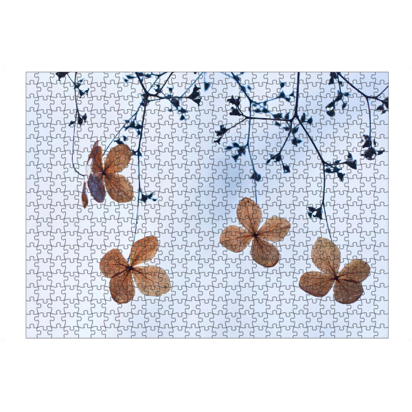 Puzzle Ravensburger "Vergänglich" artboxONE - Natur,Floral - Kletterhortensie,Herbst,Autumn,Plants,Pflanzen,Minimal,Leaves,Blätter,Floral,Natur,Nature
