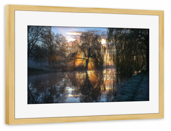 Poster mit Rahmen kiefer "Mystische Momente an der Trave" artboxONE - Natur,Reise / Länder