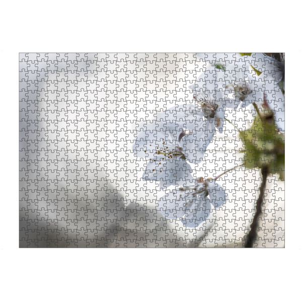 artboxONE Puzzle "Cherry Blossom Close-up" artboxONE - Natur,Floral