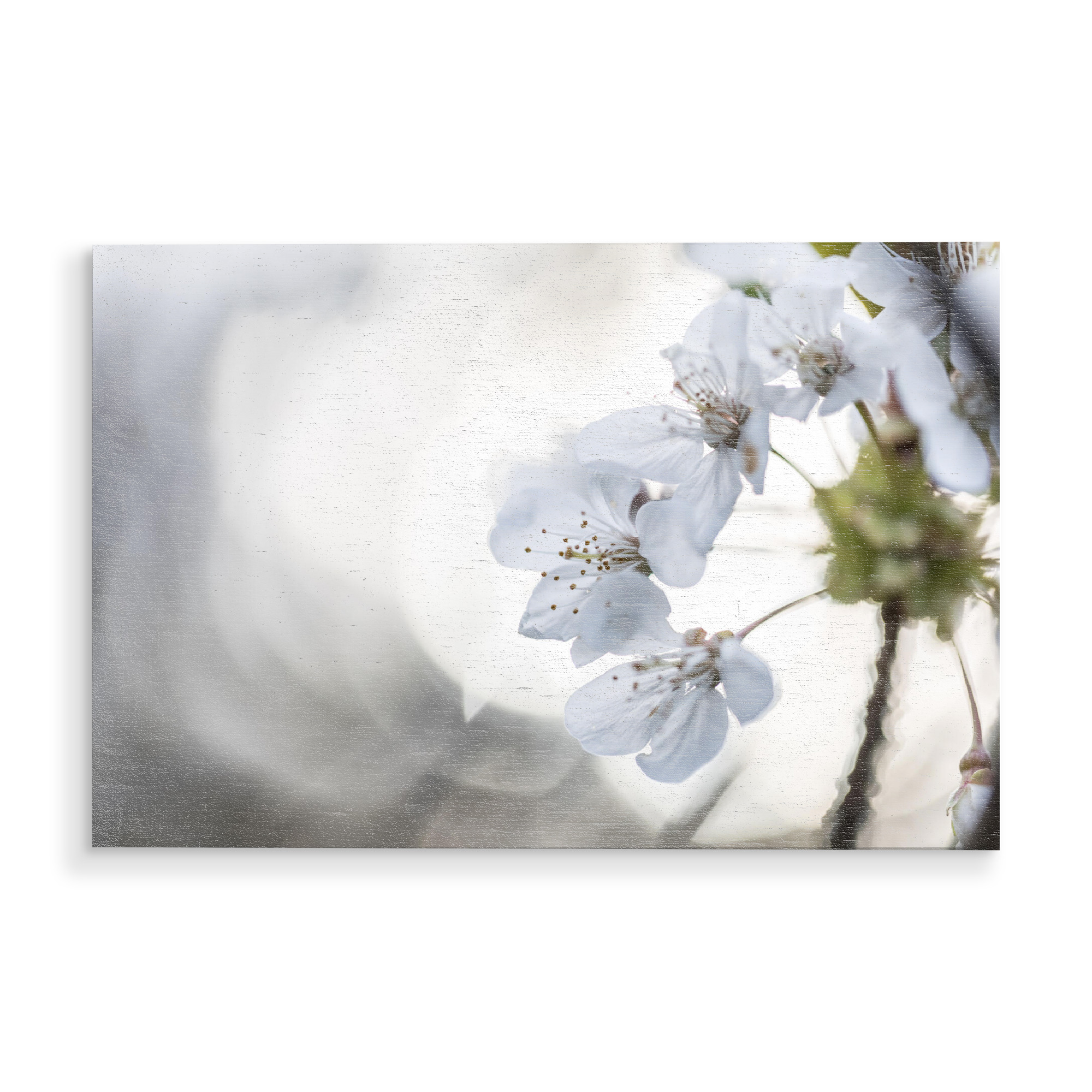 Holzbild "Cherry Blossom Close-up" artboxONE - Natur,Floral