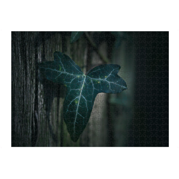Puzzle Ravensburger "Dark Ivy" artboxONE - Natur,Floral