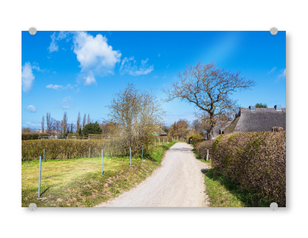 Acrylglasbild "Weg, Bäume und Häuser" artboxONE - Natur,Reise,Architektur