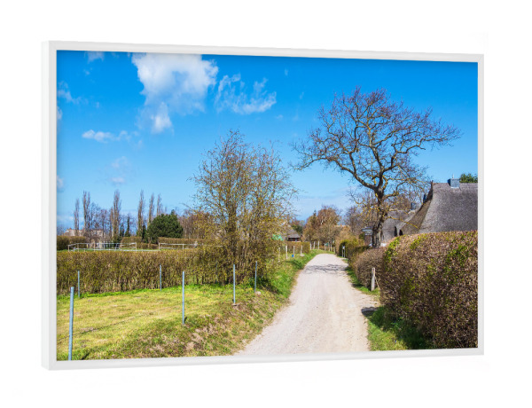 Poster mit weißem Rahmen "Weg, Bäume und Häuser" artboxONE - Natur,Reise,Architektur