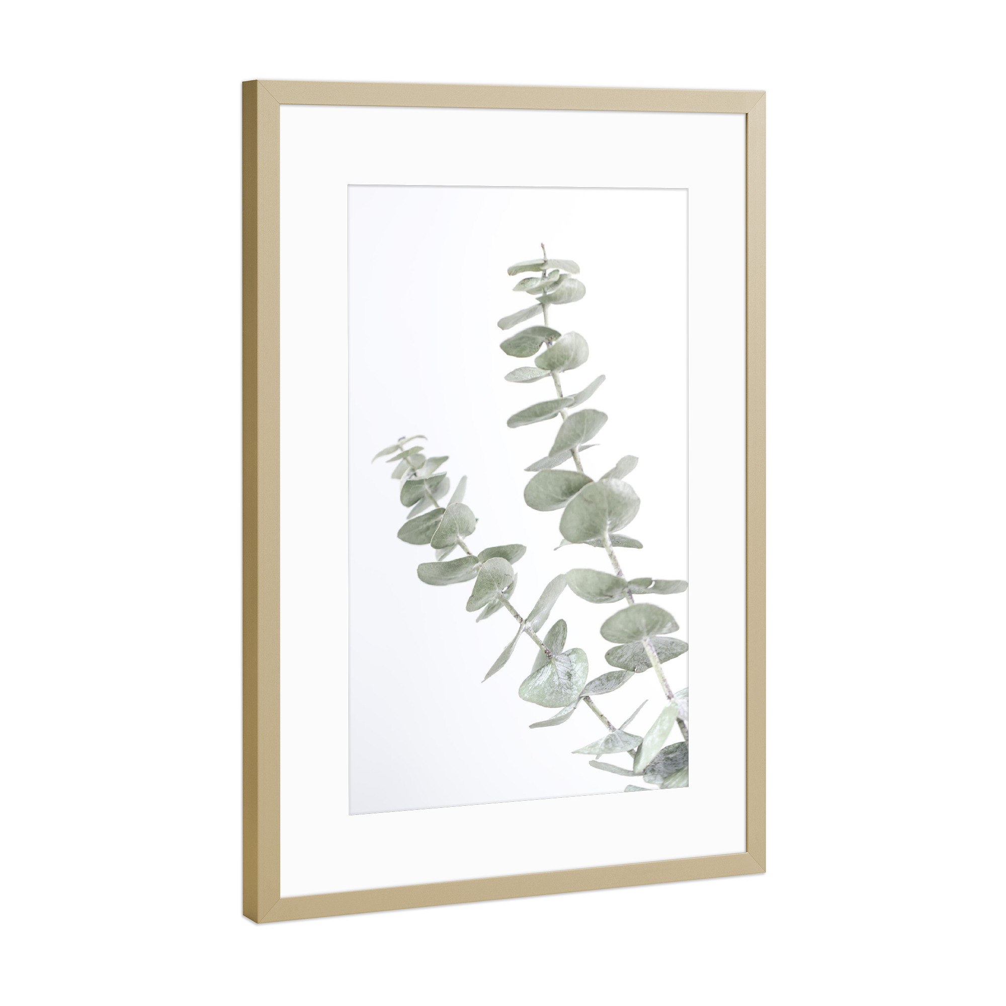 Poster mit Rahmen Gold "Minimalist Eucalyptus" artboxONE - Natur,Floral